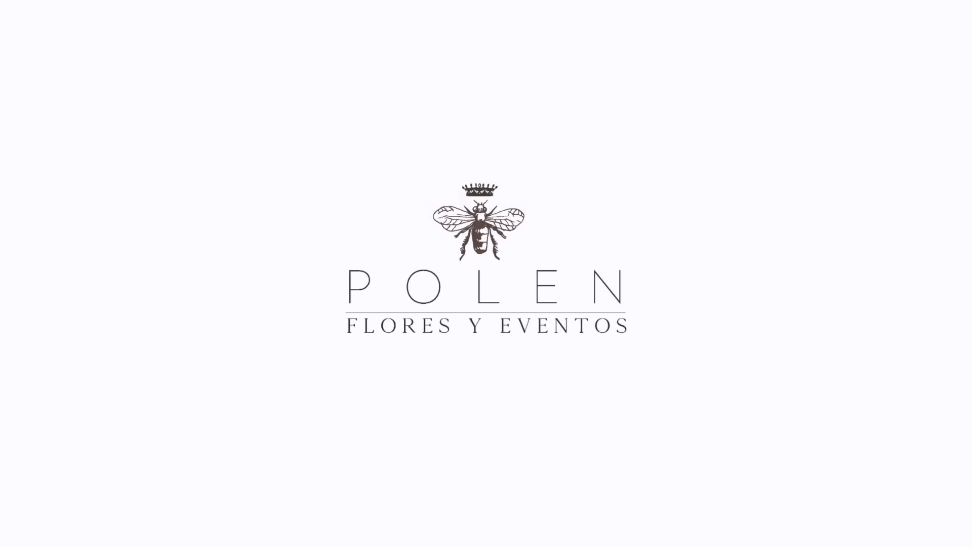 Todos los videos