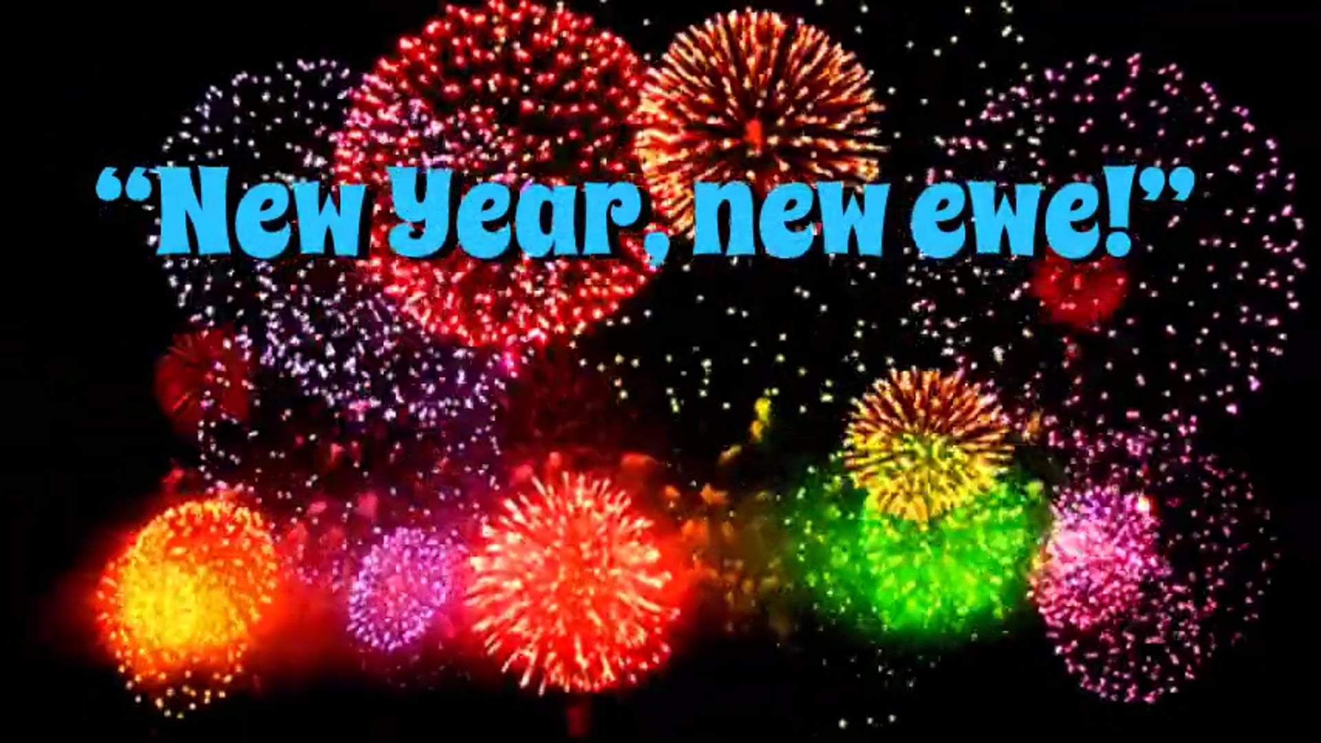 Peeps From Sheep | New Year, New Ewe, Episode 2