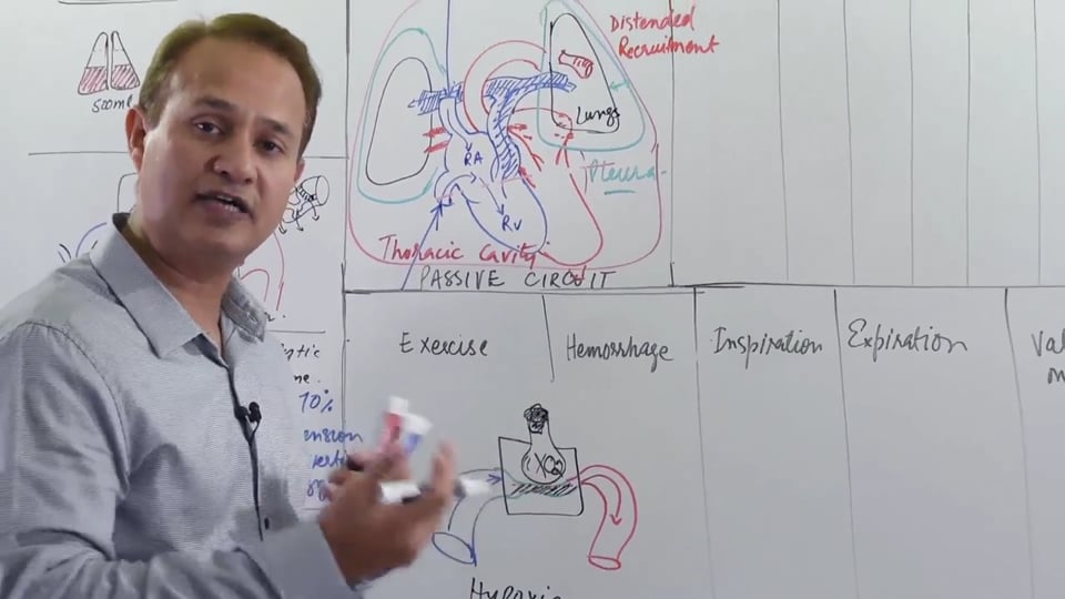 Pulmonary Vascular Circuit Changes Under Varying Conditions