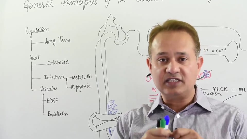 Blood Flow Autoregulation