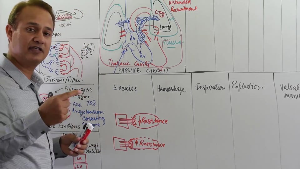 Factors Affecting Passive Pulmonary Circuit