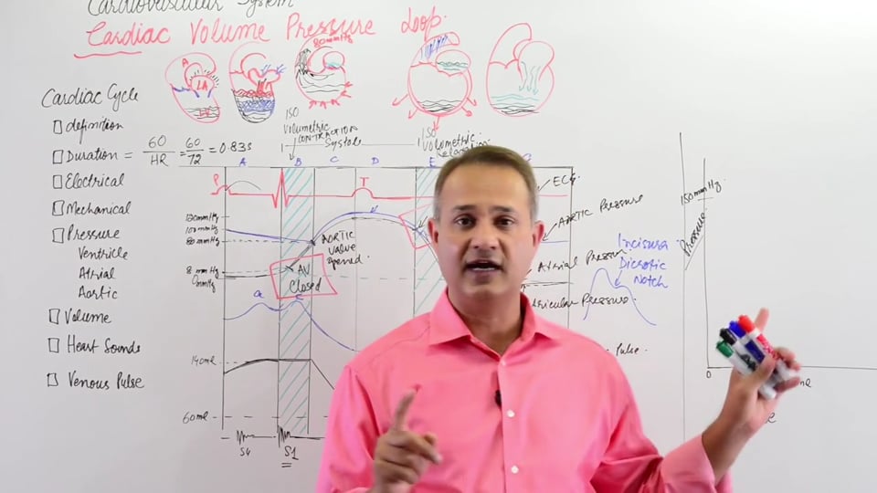 Pressure-Volume Loops