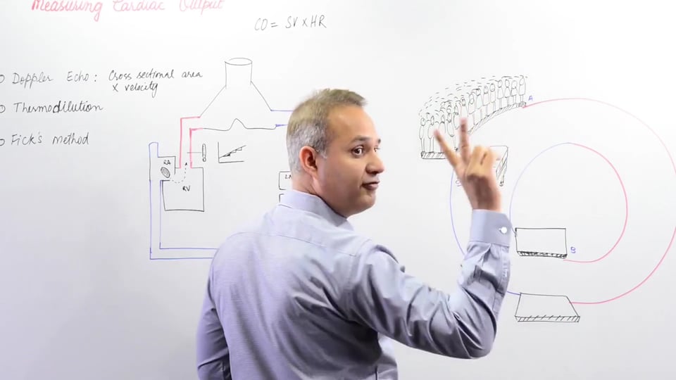 Measuring Cardiac Output