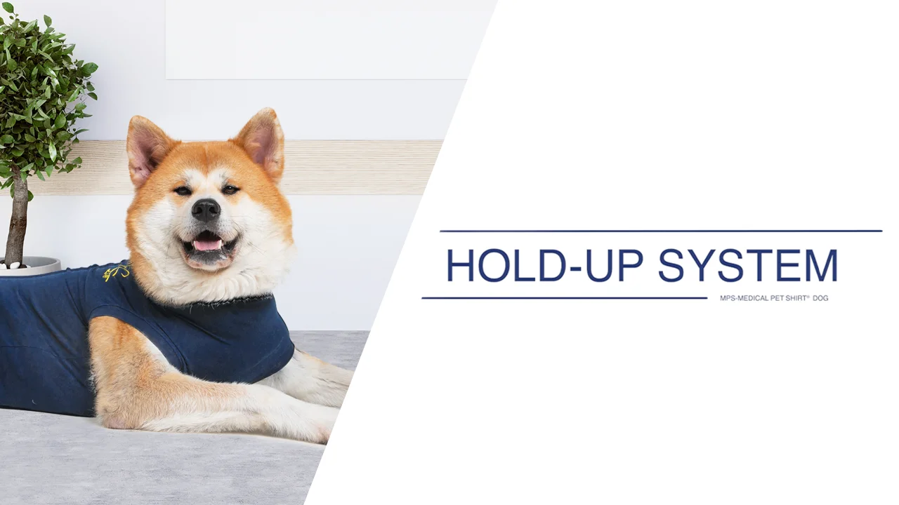 How to secure the hold up system by Medical Pet Shirts