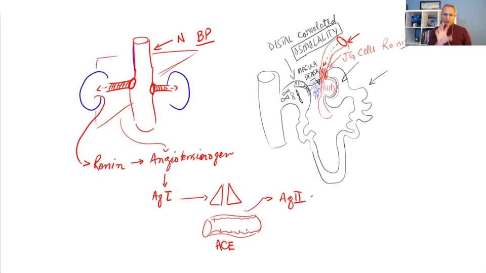 (Webinar) Hypertension Management (Part 2)