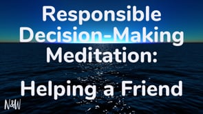 Related Embedded Video Item Thumbnail