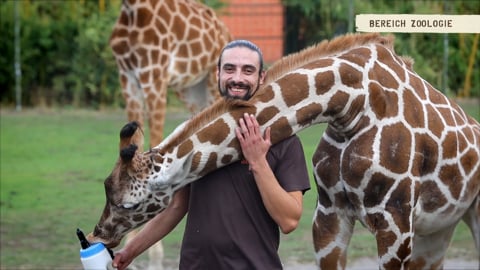 Zoologie Karriere im Serengeti Tier- und Freizeitpark