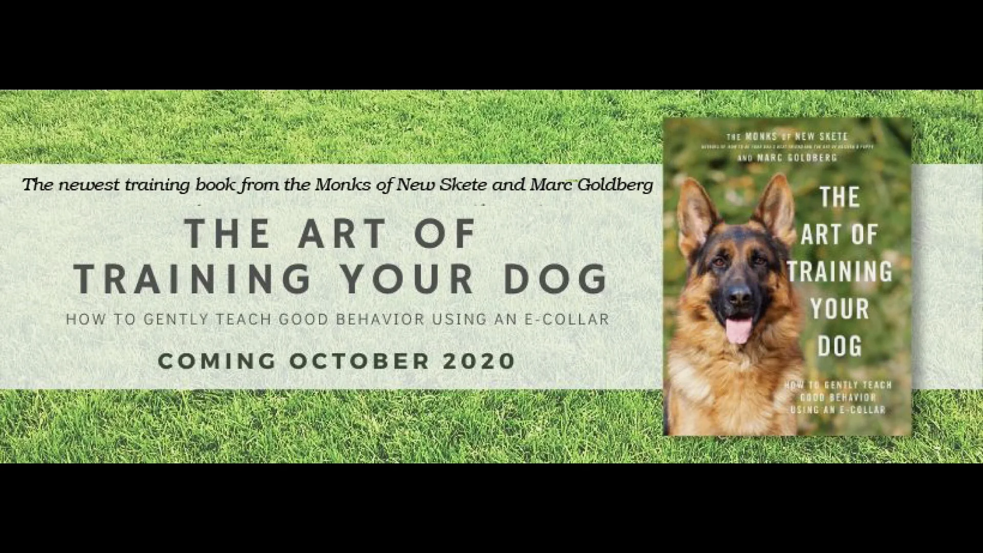 New skete 2024 dog training