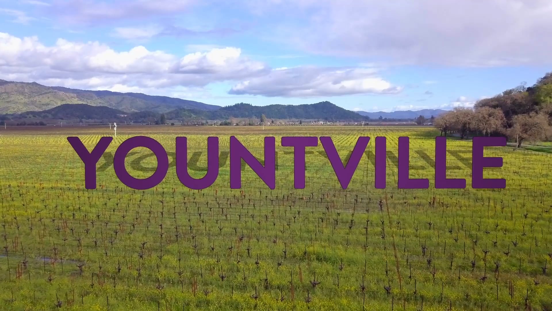 Welcome Back to Yountville