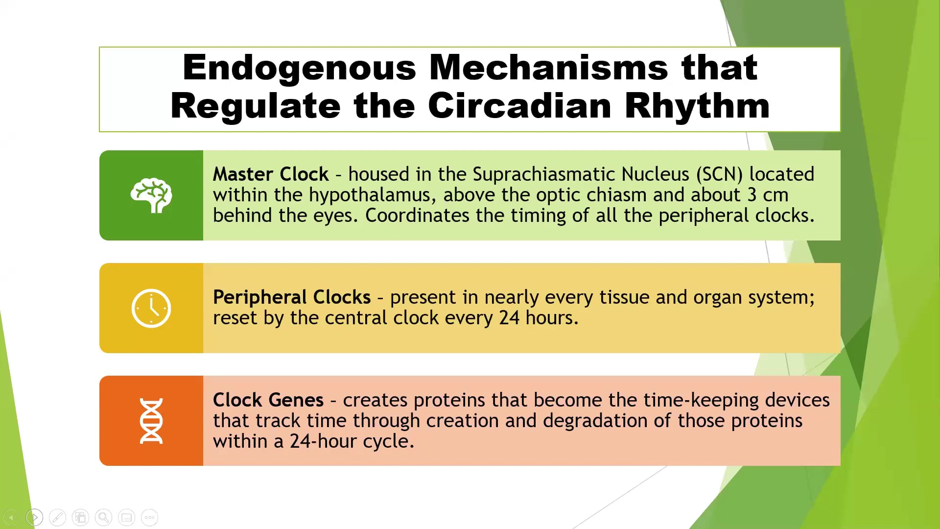 Circadian Rhythm, Sleep And Hormone Balance