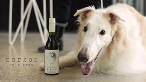 BORZOI Cold Brew Launch Video