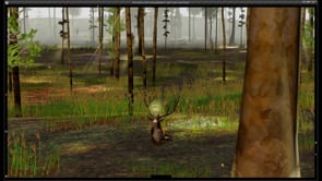 The Endless Forest: Second Decade