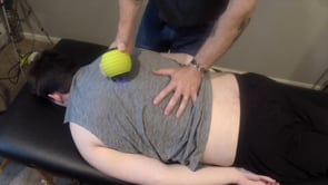  Spine Harmonics