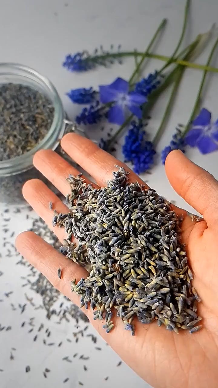 Culinary Lavender: Benefits & How To Use It