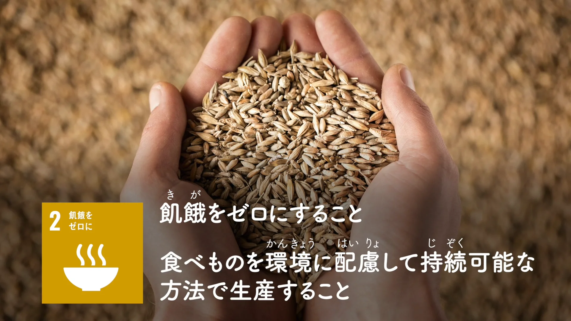 SDGs目標2. 飢餓をゼロに | EduTownSDGs