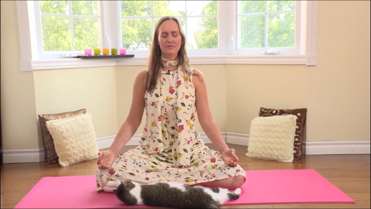 Jour 1. Méditation - qui êtes-vous ? avec Maryse Lehoux (18 min)