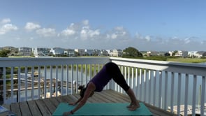 Related Embedded Video Item Thumbnail