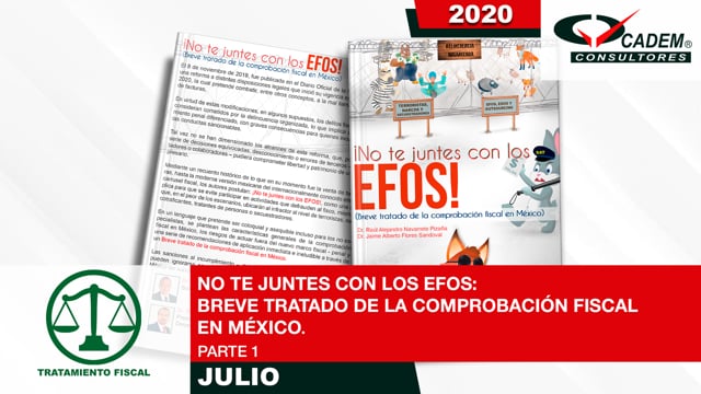 No te juntes con los EFOS.  Breve tratado de la comprobación fiscal en México.