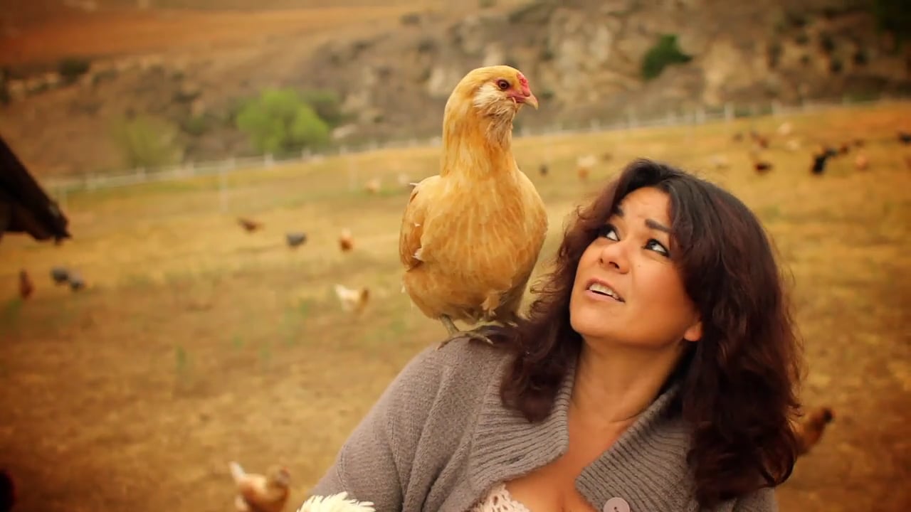 Rosemary Farms - Kaliko Profile Video