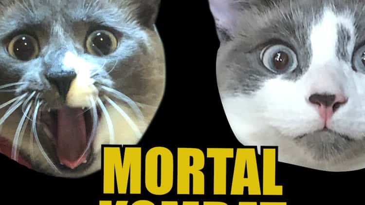 Mortal Kombat 11 Animation Showcase on Vimeo