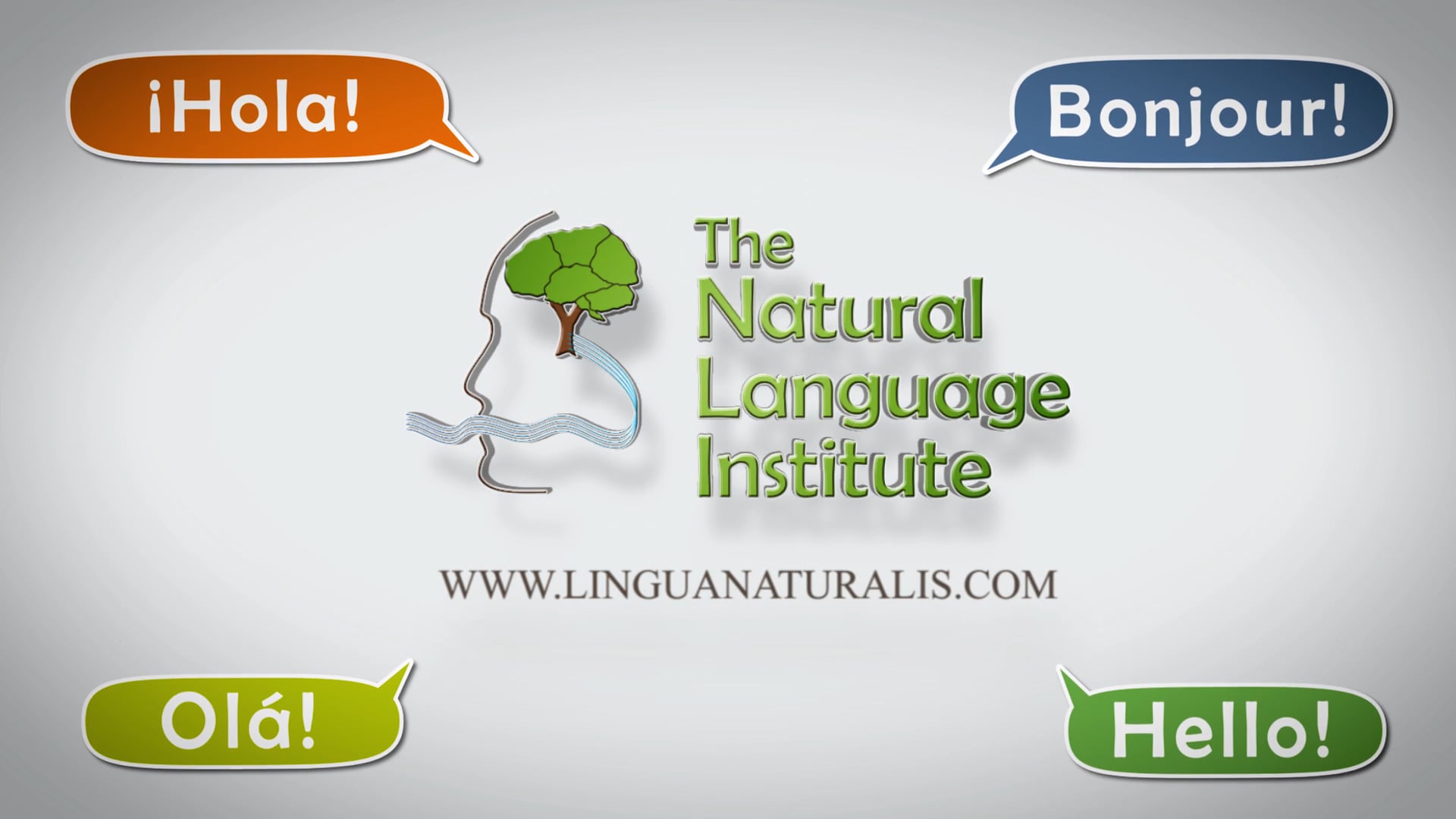 The Natural Language Institute Promo