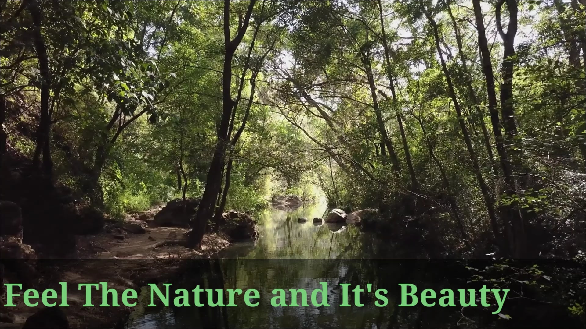 Nature and its beauty on Vimeo