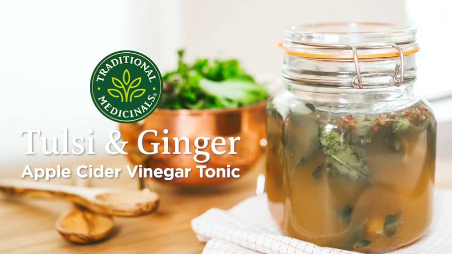 Tulsi Ginger Apple Cider Vinegar Tonic Traditional Medicinals