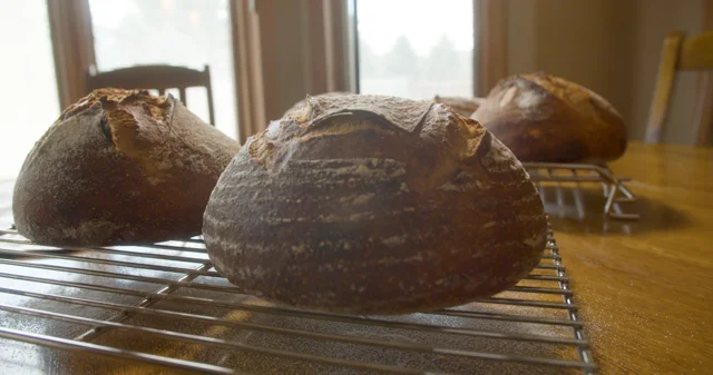 How to Make Sourdough Bread at Home - West of the Loop