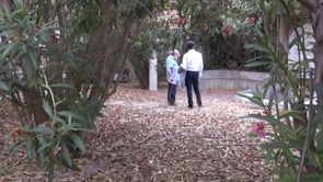 El Clos del Pastor serà visitable a finals  d'any
