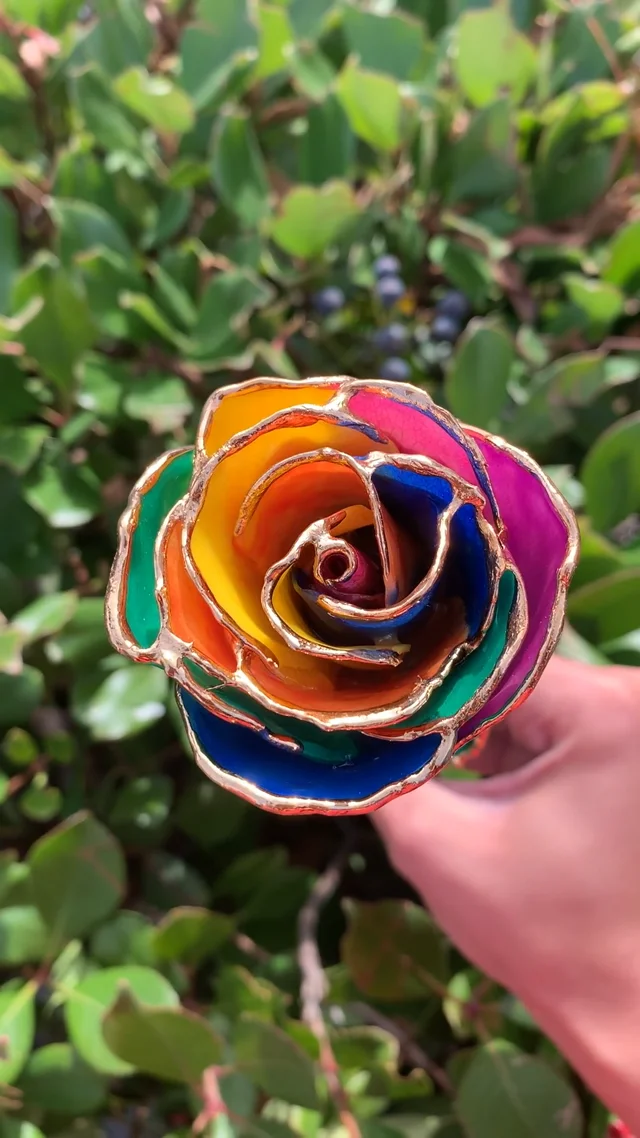 Rainbow Roses