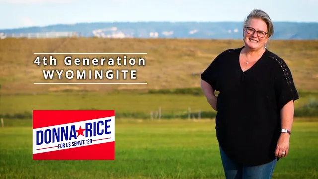 Introducing Donna Rice - Candidate for U. S. Senate on Vimeo