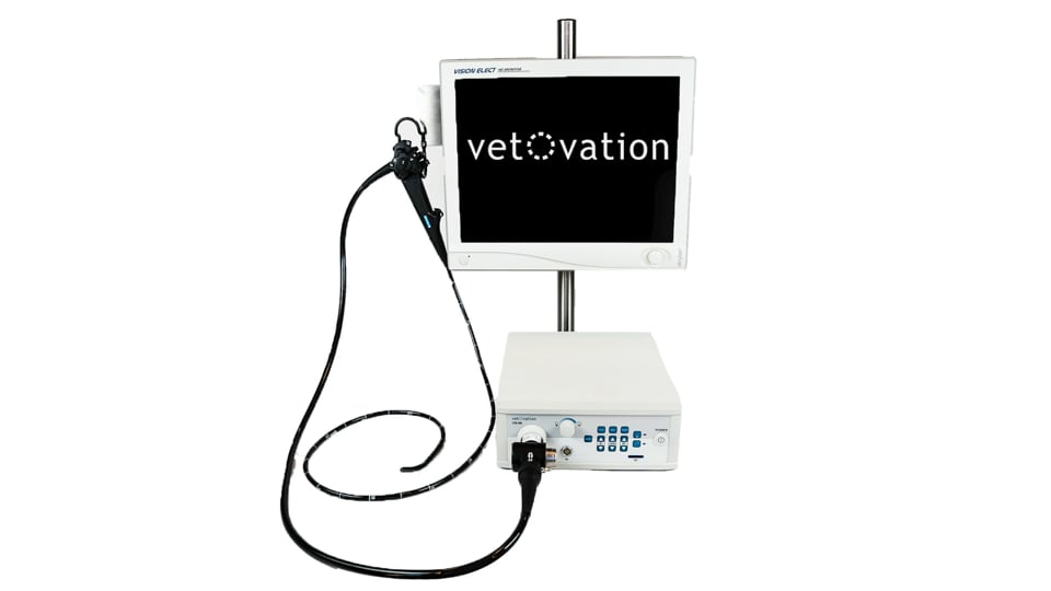 Endoscope for veterinary biopsy & foreign body removal by VetOvation