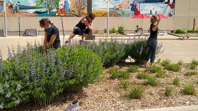 Parking Lot Project, 6/6/20