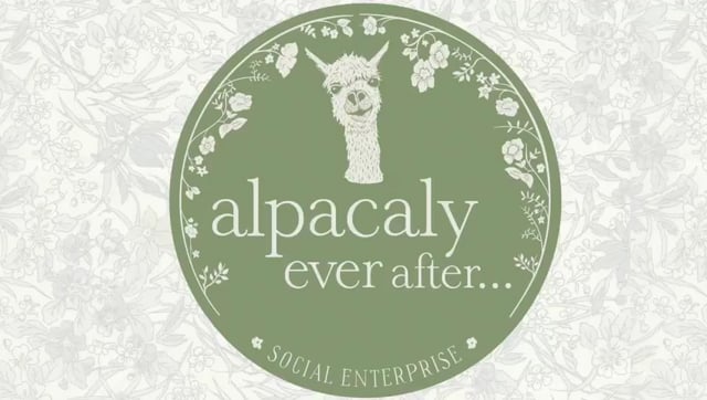Alpacaly Ever After in Trip Advisor Best of Britain list 2020