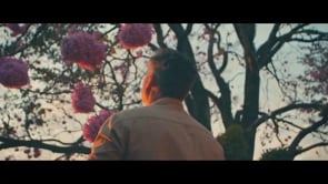 Dimas - Casa na Árvore