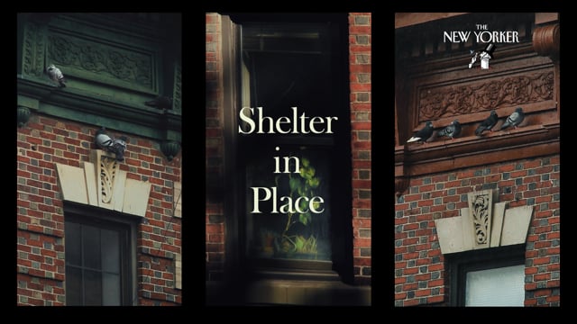 Shelter in Place;From The Ash || Nico Vink;Dani;SEQUENCE;Eat Local;"Roughhouse" by Jonathan Hodgson;No Woman, No Cry - Bob Marley DIRECTORS CUT;Kyle Kinane Trampoline in A Ditch;MOBY - " MY ONLY LOVE ";Fuse;Princess Rita;Shelflife "Stüssy x Nike";Missed Connections: "Was that your limb? - w4m";DOUBLESPEAK;REI Presents: Venture Out;Fork;LP;'MINE' (2020);HANDHELD - A Short Film by Pisie Hochheim and Tony Oswald;Ode to Desolation by Lindsey Hagen;Only in Toledo;RUDECHILD - DONAVON;Something Like Loneliness;The Skin I'm In;Zone Rouge;Moses Sumney "Me In 20 Years" (Official Video);FARCRY 6 OFFICIAL TRAILER;HAPA;Jordy Smith;Future Islands - For Sure;Olivier Cong - Delusion (Part 1, 2) [feat. Mo-Men-T];Small Talk;The Rolling Stones - Criss Cross (Dir. Cut);Transfiguration (2020);MAN-SPIDER;Descent;60 Years and Still Short Film;Cyclists by Veljko Popovic, produced by Prime Render Studios;Eyelash [BAFTA Nominated 2021];Change Return;House on Fire - Dignity Village;PORTRAIT OF A BLACK MAN;motion portraits;La Fièvre au Soleil ❊ Sun’s Fever (Marie Deboissy, promotion 2019);Dominant Species;6 FIGURE GANG;INTO THE BLUE by Antoneta Alamat Kusijanovic;Red Apples;Ludwig Göransson - “The Mandalorian”;Shucky Darn;Tokri (The Basket);MAY GRAY, JUNE GLOOM;A LOCKDOWN LULLABY;Simbiosis Carnal;HoHos / The Big Turnaround;D Smoke - Lights On ft. SiR;MIMI (2018);BALMAIN | WILD;Waffle;A Tribute To The Conversation (1974);Covid Loop;A Phone Call From My Best Friend;In My Particular Case;Alfred Fauchet, à droite, à gauche;Fun & Games;Vans - "Radio Bosforo";Children Uprooted - Unicef;Let's Get Lost (2020);Rebooted;NORTEÑOS;-SHIP: A VISUAL POEM;SWARM;Assorted Rides | Devon Howard;Moses Boyd | Stranger Than Fiction (Director's Cut);Le Saucier;Seeds of Love;Sojourn A visual Proverb;Chris Liebing & Charlotte de Witte - Liquid Slow;GABRIEL -  Short Film by Oren Gerner;MALARIA;Thirsty Kevin's Big Date;BHU: Revolution;Populous feat. M¥SS KETA & Kenjii - HOUSE OF KETA [OFFICIAL];How Black Americans Were Robbed of Their Land;DABDA - Journey;Mothers For Justice;Still Life;SICKBOY;Music & Clowns;The Walking Fish;Toccata;WHAT DWELLS IN ME;Who The F*ck Is Jeffrey Gurian?;See You Soon;IARA;All I Have to Offer You Is Me;Your Highness Grandmother Pageant;ELUDE