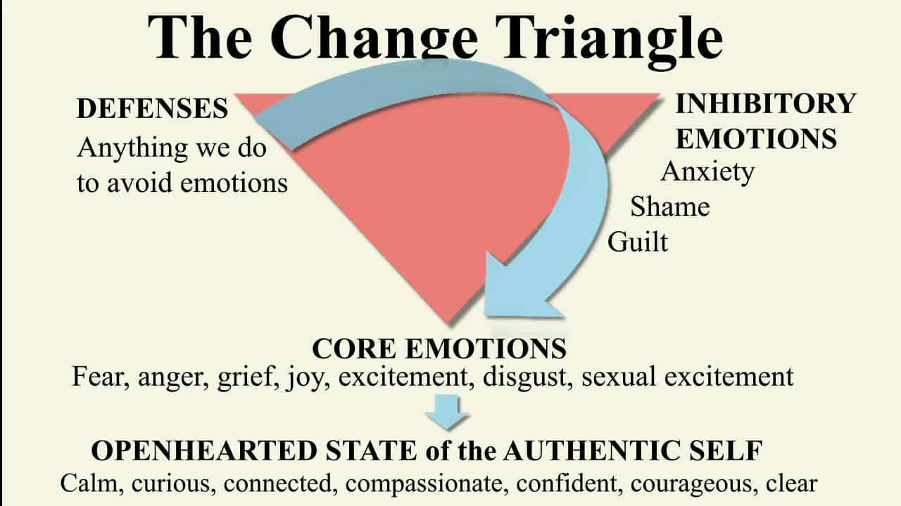 AEDP Transformance and the Change Triangle on Vimeo