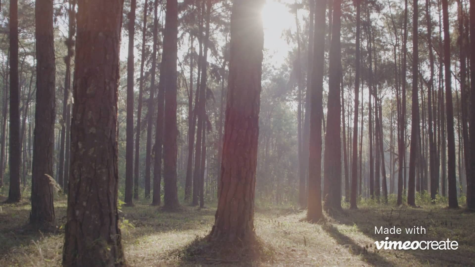 Memorial Day Camping Sale on Vimeo