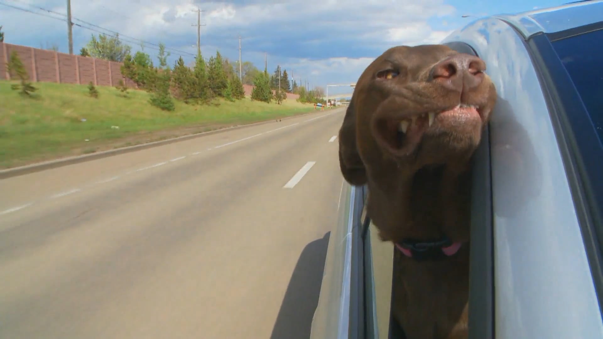 Take a Ride with Us!