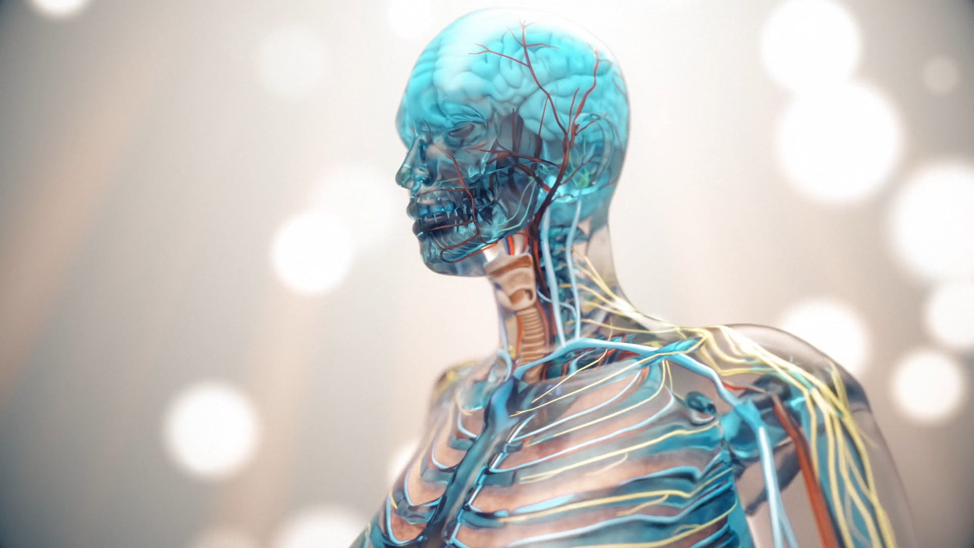 Media Grabbers 3D Medical Reel 2020 on Vimeo