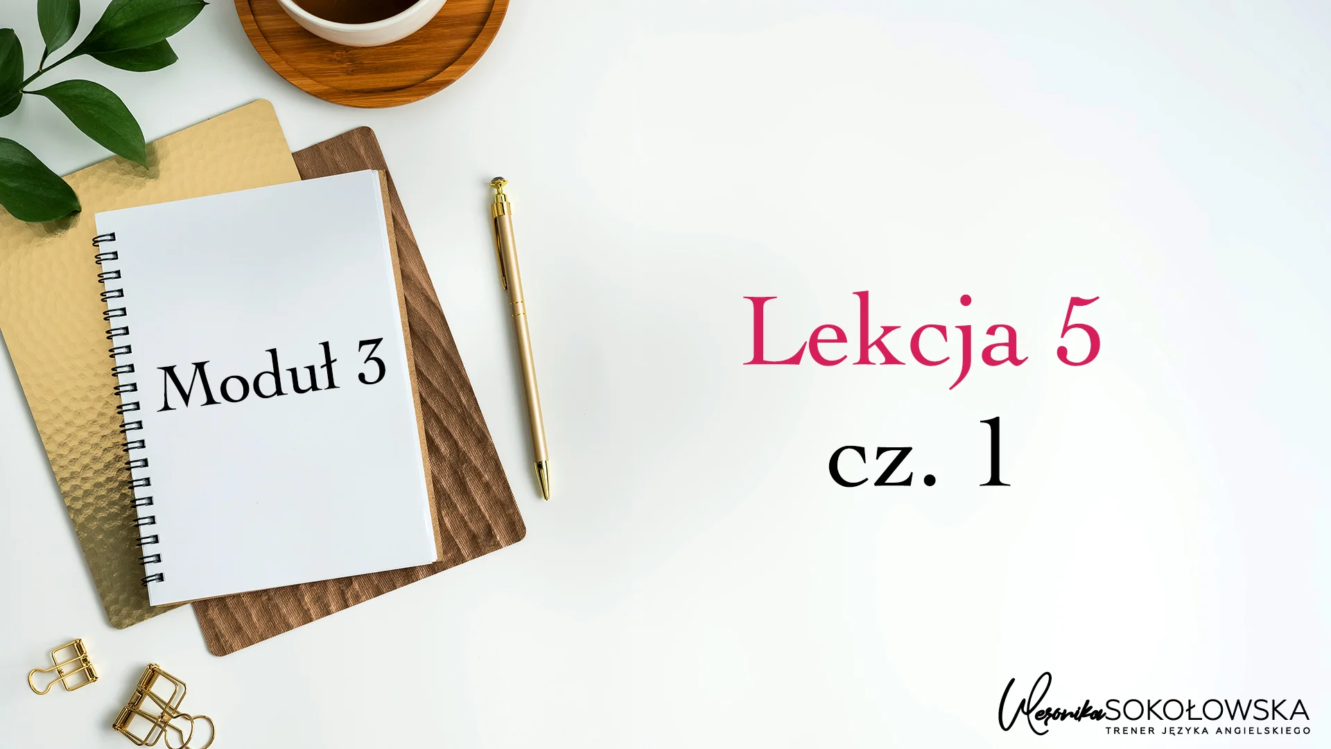 BCS 2018 主人公＆竜司＆杏 プロモ 英語版 Kurs Angielski w Pracy: Nabierz pewności siebie i nadaj tempa