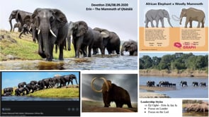 Erin - The Mammoth of Ọbàtálá