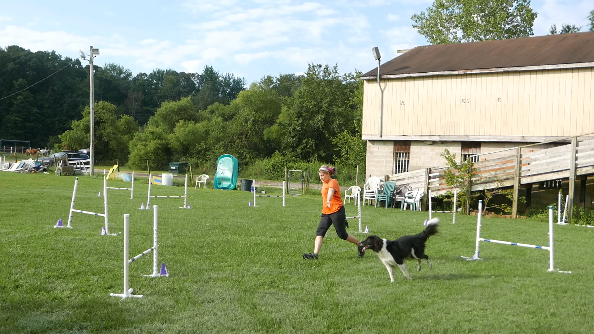 1901064 jumpers2 in agility on vimeo
