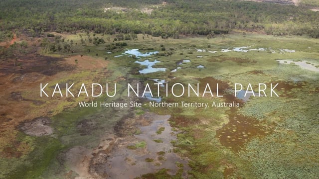 Kakadu and artificial intelligence to manage Country (video Nov 2019)