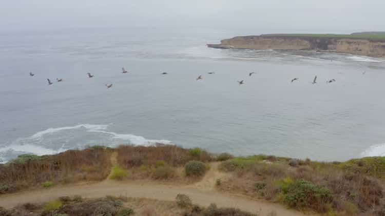 Santa Cruz 4 Mile Beach