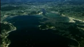 O futuro da r&iacute;a de Pontevedra