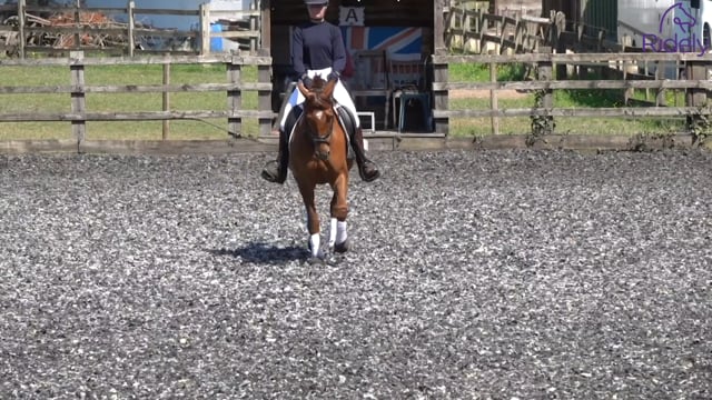 Prelim test riding: Prelim 18