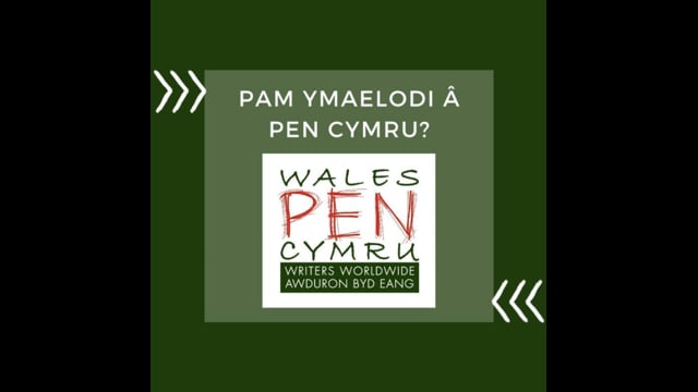 Vimeo Thumbnail (API)