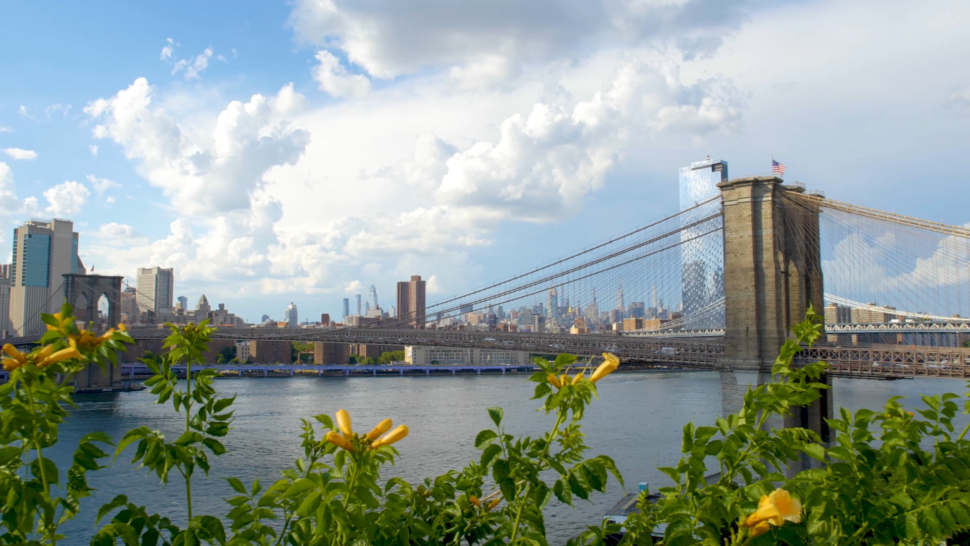 1 Hotel Brooklyn Bridge : Covid-19 Precautions