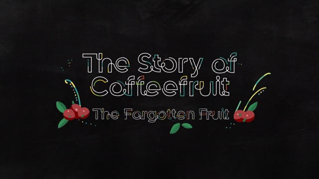 Bai - Customer Success Story